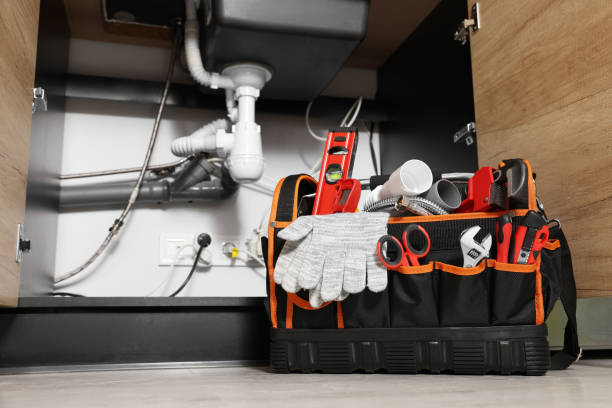 Best Residential Plumbing Services  in Selbyville, DE